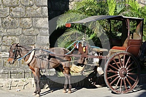 horse drawn calesa in vigan philippines