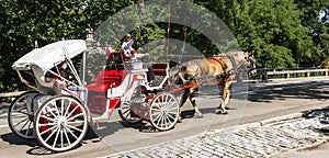 Horse drawn carraige driver explaining areas of central park