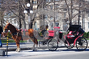 Horse drawn carriage