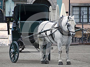 Horse drawn carriage