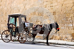 Horse-drawn carriage photo