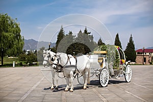 Horse drawn carriage