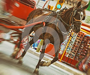 Horse-drawn carriage.