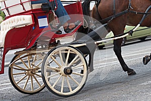 Horse-drawn carriage.