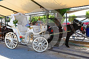 A horse drawn carriage in Aegina, Greece