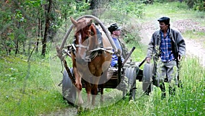 A horse drawn carriage with cabman and companion