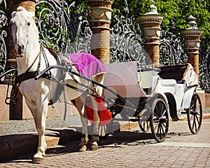 Horse-drawn carriage (carriage) - tourist transport