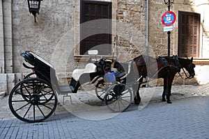 Horse-drawn carriage in front of Palace in Palma