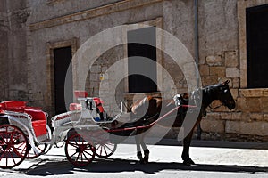 Horse-drawn carriage in front of Palace in Palma