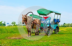 The horse-drawn carriage on the meadow, Bogolyubovo, Russia