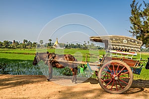 Horse drawn carriage in Myanmar