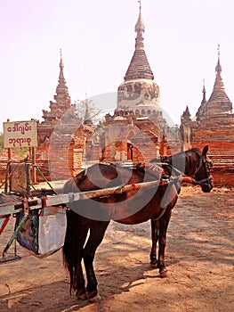 Horse Drawn Carriage parking in front of Temple