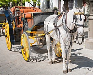 Horse Drawn Carriage, Seville, Andalucia, Spain