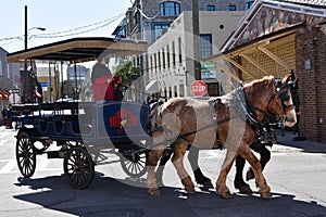 Horse-drawn carriage touring the streets.