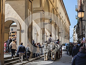 Horse-drawn Carriage with Tourists and Two White Horses Traveling along a Road near Arno River and Ponte Vecchio in Florence,