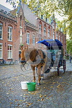 Horse-drawn carriage waiting on the street, Bruges, Belgium