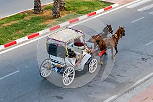 Horse drawn Carriage in Yasmine Hammamet, Tunisia photo