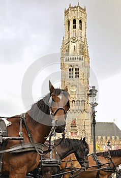 Horse-drawn carriages, Bruges, Belgium