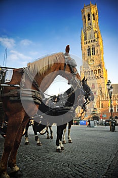 Horse-drawn carriages at Grote Markt in Bruges photo
