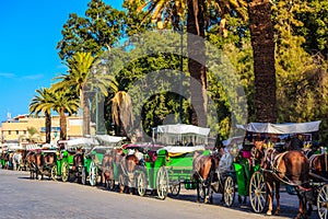 Horse-drawn carriages on the main square in Marrakech photo