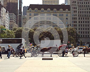 Horse-Drawn Carriages, Midtown, Manhattan, NYC, NY, USA