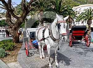 Horse-drawn carriages of Mijas pueblo, one of the most visited of Andaluciaâ€™s white villages, Costa del Sol.