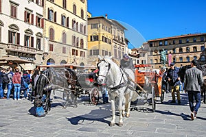 Horse-drawn carriages in the Piazza della Signoria in Florence