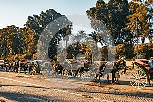 Horse drawn carriages for tourists in Marrakech