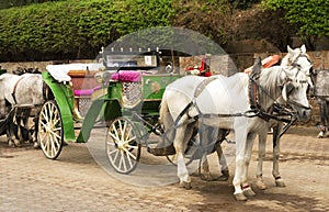 Horse drawn carriages waiting for tourists in Jemaa el-Fnaa square, Marrakesh