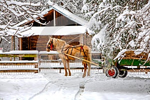 Horse Drawn Cart On Winter Scene
