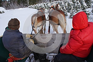 Horse-drawn sleigh by Peter J. Restivo