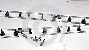 Horse Drawn Sleighs on snowy road