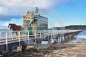 Horse drawn tram pulled by Clydesdale horse along the causeway from Granite Island to Victor Harbor