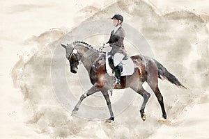 Horse dressage impressions in watercolor