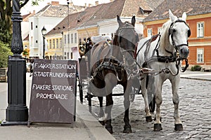 Horse-driven cab. photo