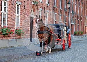 Horse-driven cab in Bruges