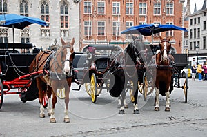 Horse-driven cabs in Bruges