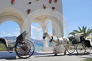 Horse driven carriage photo