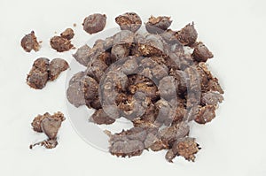 Horse droppings photo