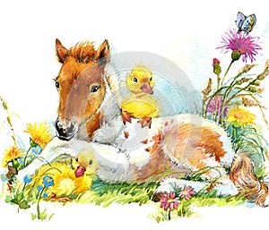 Horse and and ducklings. background with flower. illustration