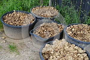 horse dung, manure, horse apples, in large bucket into scoop, shovel, agricultural, natural fertilizer for farms concept, food