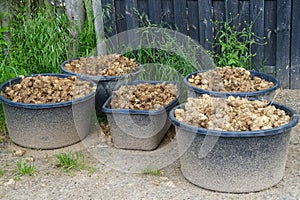 horse dung, manure, horse apples, in large bucket into scoop, shovel, agricultural, natural fertilizer for farms concept, food