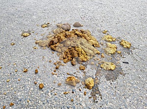 Horse dung or horse manure on a street