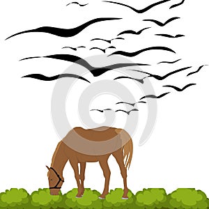 Horse eating grass and birds in the garden illustration