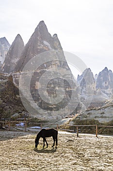 Horse Eating Grass in front of Rock Formation in Cappadocia, Turkey
