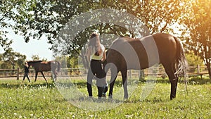 A horse eats grass in a meadow next to a girl.