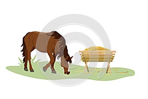 The horse eats hay from the trough on the farm. Country pet. Isolated character on a white background. Vector