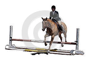 Horse and English rider event jumping fence isolated on white