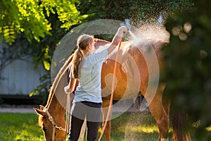 Horse enjoying the shower