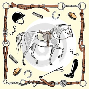 Horse equestrian riding gear tack tool in leather belt bridle frame on white.